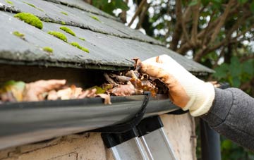 gutter cleaning Holtby, North Yorkshire