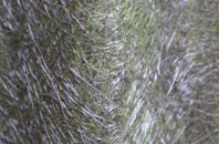 Holtby fibreglass roof work