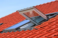 Holtby roof window